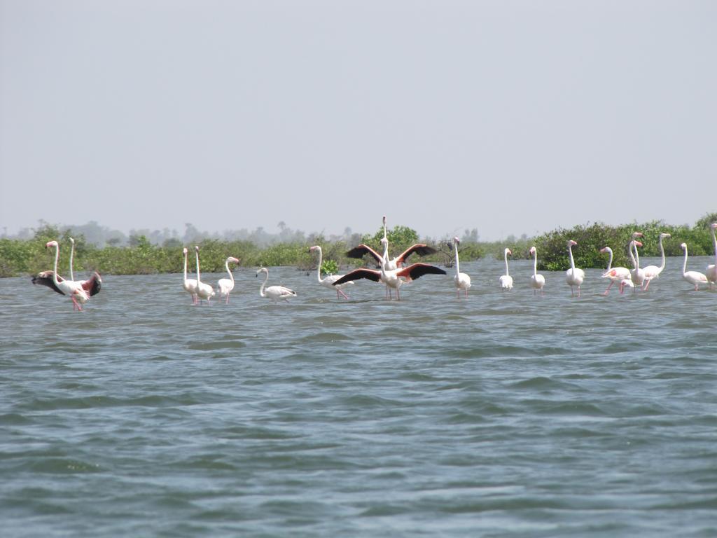 Bazouk Du Saloum Ecolodge Mar Lodj Eksteriør bilde
